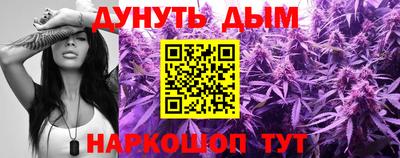 мдпв Гудермес