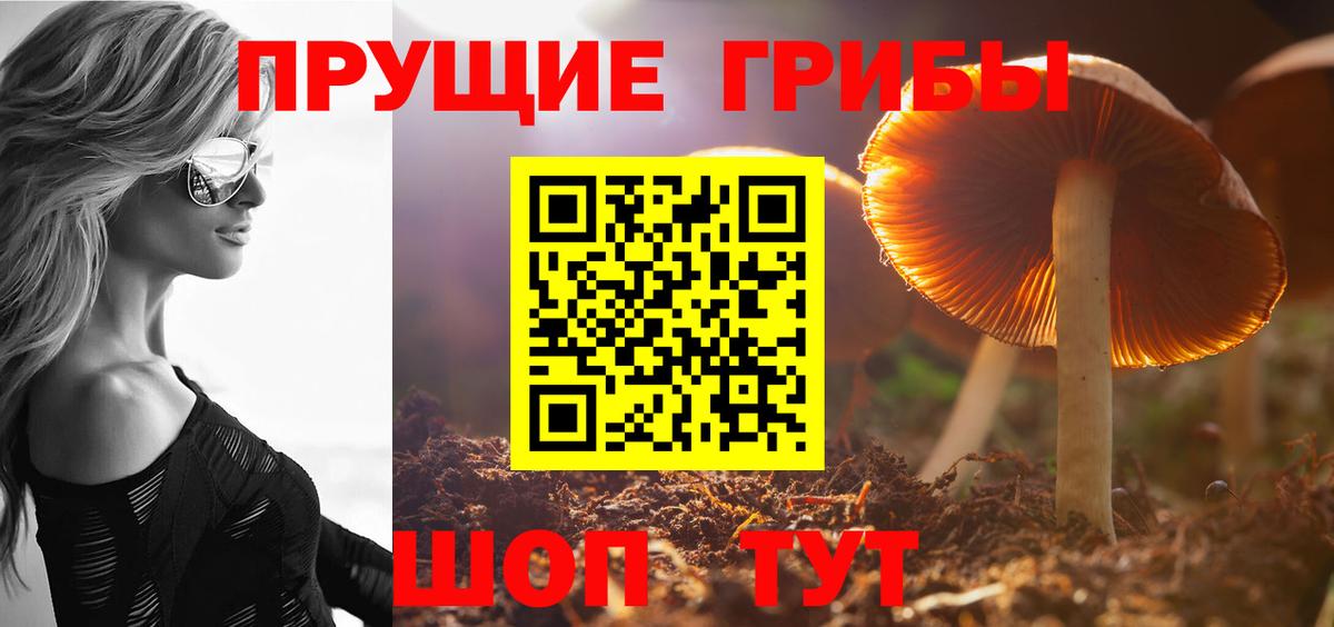 Галлюциногенные грибы Magic Shrooms Октябрьский